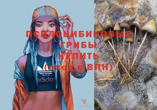 кокаин колумбия Алексин