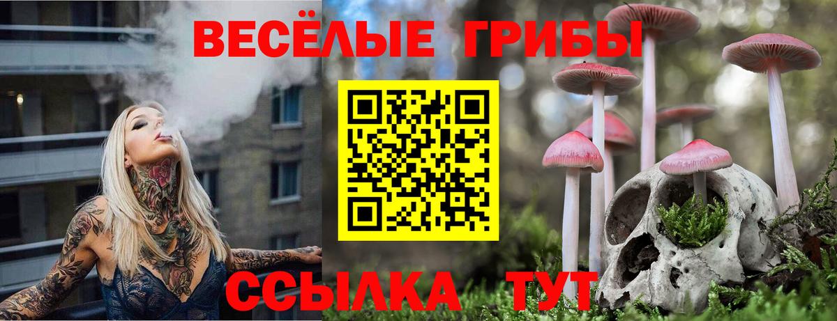 Псилоцибиновые грибы MAGIC MUSHROOMS Еманжелинск