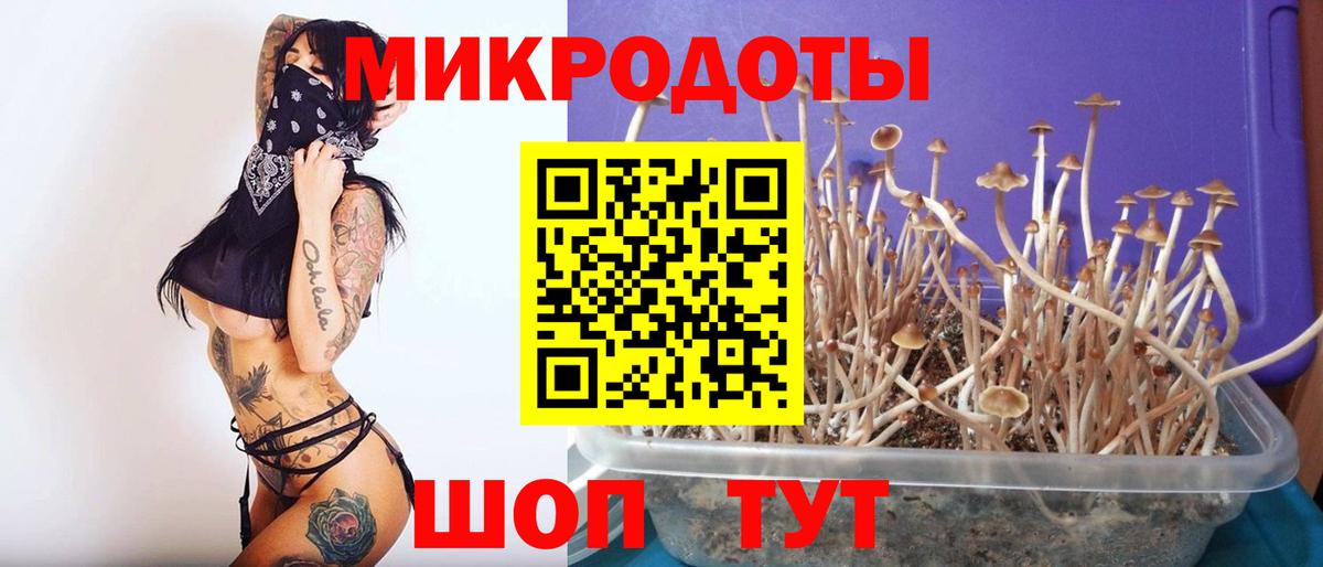 Еманжелинск  Псилоцибиновые грибы мухоморы  Вход с VPN 